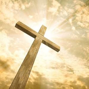 Meet your Posher, Max